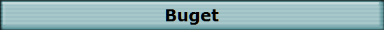 Buget Buget