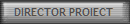 DIRECTOR PROIECT