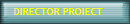 DIRECTOR PROIECT