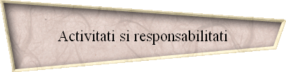 Activitati si responsabilitati