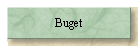 Buget