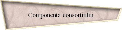 Componenta consortiului