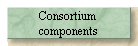Consortium 
components