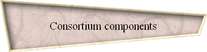 Consortium components