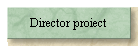 Director proiect