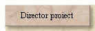 Director proiect