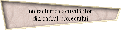 Interactiunea activittilor 
din cadrul proiectului