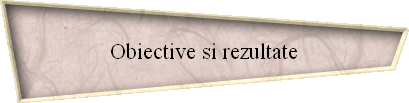 Obiective si rezultate