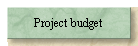 Project budget