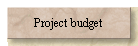 Project budget